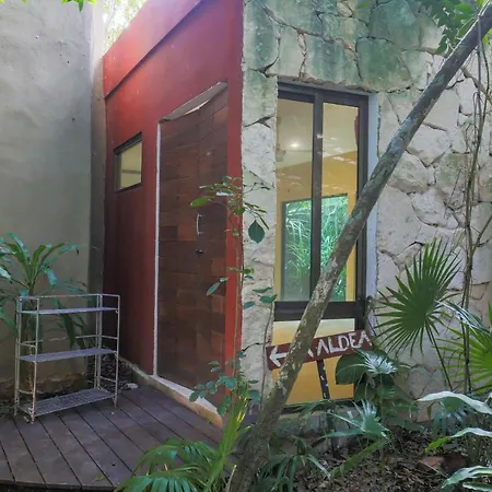 Guest House La Aldea Holistic Experience-2