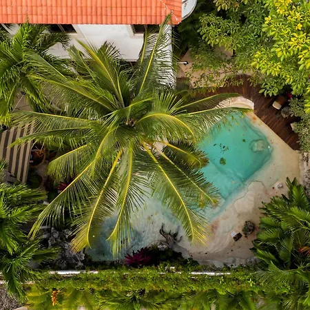 Mezcal Boutique Hotel-2
